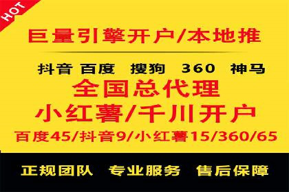 SEM外包服务应用案例分析